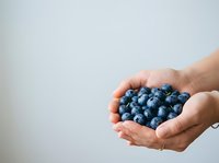Fresh blueberries held in open hands against neutral background, showcasing organic fruit for healthy eating, nutrition, and food photography use.