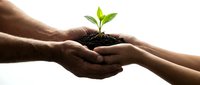 Adult and child hands holding soil with green seedling, symbolizing growth, sustainability, and environmental care for ecology concepts.