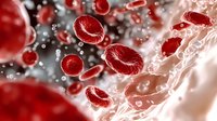 Red blood cells flowing in plasma with visible hemoglobin molecules, scientific medical visualization showing microscopic view of erythrocytes in bloodstream.