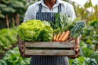 Farmer in striped apron holding wooden crate with fresh organic vegetables including lettuce, carrots, and kale harvested from garden.