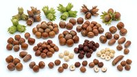 Assorted hazelnuts with shells and kernels isolated on white background, including whole nuts, cracked open pieces, and leafy husks, ready for food packaging, culinary design, and nutritional content projects.