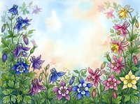 Watercolor floral frame with colorful columbine flowers in blue, pink, purple and yellow on soft pastel background with copy space.