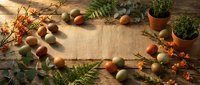 Rustic autumn frame with acorns, pine branches and orange berries on burlap fabric over wooden background. Natural fall decoration for seasonal design projects.