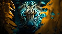 Intense close-up of snow leopard with piercing blue eyes peering through foliage against dark background, dramatic lighting creates mysterious atmosphere.