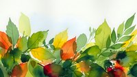 Watercolor autumn leaves border with vibrant orange, yellow and green foliage creating seasonal frame for fall designs and nature projects.