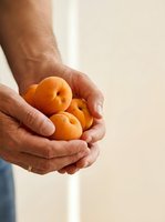 Male hands holding fresh apricots against neutral background. Suitable for healthy eating, organic produce, nutrition, and food marketing campaigns.