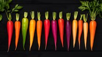 Fresh colorful rainbow carrots with green tops arranged in row on black background, organic healthy vegetables for farm market and cooking.