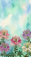 Watercolor floral background with cleome spider flowers in pink and purple tones. Soft pastel botanical border design for spring greeting cards and invitations.