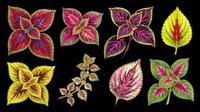 Colorful foliage collection featuring vibrant leaves in red, pink, purple, and yellow tones. Isolated on transparent background, ready for clipart, t-shirt design, stickers, and print-on-demand projects.