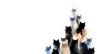 Artistic watercolor composition of cat silhouettes arranged in triangular formation, featuring black, grey, ginger and white cats with minimalist style on white background.