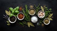 Fresh herbs and spices collection with basil, rosemary, bay leaves, peppercorns, salt, garlic and seasonings arranged on dark slate background for cooking.