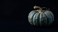 Aged green pumpkin with dried stem isolated on dark background, suitable for autumn harvest designs, fall seasonal marketing, and harvest-themed graphics.