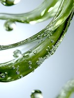 Fresh aloe vera leaf with water drops and bubbles in macro photography showing natural moisturizing properties against light background.