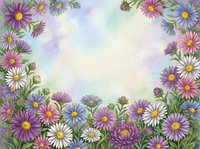 Watercolor floral frame with purple, pink and white daisies on soft pastel background. Spring garden border design for greeting cards, invitations and decorative projects.