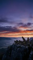 Wolf pack silhouettes on rocky mountain cliff during dramatic sunset with purple orange sky and valley landscape below for wilderness adventure themes.