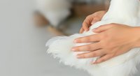 Woman's hands gently stroking soft white fur, close-up detail shot showing tender touch and care for pet grooming or animal welfare concepts.