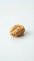 Single walnut in shell isolated on white background for healthy eating and nutrition concepts.