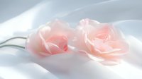 Delicate pink roses lying on soft white silk fabric with gentle shadows and dreamy ethereal lighting, creating romantic and serene mood for wedding and celebration designs.
