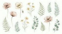 Watercolor botanical elements set with delicate poppies, ferns and eucalyptus branches isolated on white background for floral design projects.
