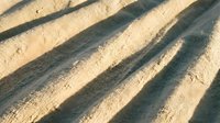 Close-up of plowed agricultural field with parallel furrows and shadows cast by sunlight, suitable for farming, agriculture, and rural background designs.