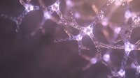 Neural network connections with glowing synapses in purple and pink tones showing brain activity and neuroscience concepts for medical research.