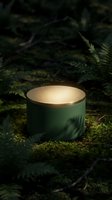 Green cylindrical cosmetic jar with wooden lid on moss in forest setting with ferns and natural lighting for organic skincare product mockup.