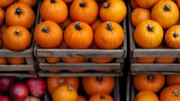 Fresh orange pumpkins in wooden crates at farmers market display, with red apples below, arranged in rustic style for seasonal autumn shopping.