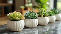 Succulent plants in white ceramic pots arranged in row on marble surface. Natural home decor with green echeveria and haworthia varieties creates minimalist design.