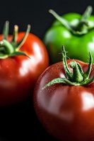 Fresh ripe red tomatoes and green bell pepper on black background, macro shot showing detailed texture and water drops, suitable for food photography.