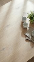 Minimalist wooden table surface with ceramic mugs, green plant and natural lighting creating warm shadows for home decor and lifestyle photography.
