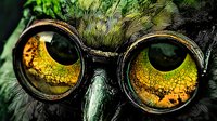 Close-up of an owl with round spectacles showing detailed yellow eyes with intricate patterns against dark green feathery background.