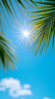 Bright sun rays shine through palm fronds against vibrant blue summer sky with white fluffy clouds, creating tropical vacation atmosphere and natural lens flare effect.