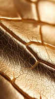Macro close-up of golden leaf veins with warm sunlight casting intricate shadows, showcasing delicate natural texture and botanical detail for design and nature projects.