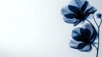 Delicate blue x-ray style flowers with translucent petals against white background, showing intricate botanical details and ethereal nature. Artistic floral photography.