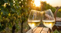 Two glasses of white wine on wooden table in vineyard at golden hour sunset with grapevines in background for romantic dining and wine tasting experiences.