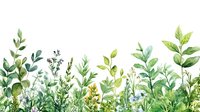 Watercolor botanical border with green leaves and herbs on white background for natural design projects and organic branding materials.