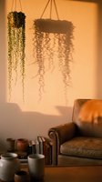 Cozy living room corner with leather armchair, hanging plants casting shadows on warm wall, books and ceramic pottery creating relaxing home atmosphere.