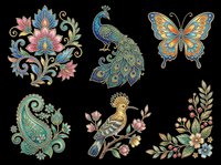 Ornamental peacock, butterfly, hoopoe bird, and floral paisley designs isolated on transparent background, ready for t-shirt printing, clipart, stickers, sublimation, and print-on-demand projects.