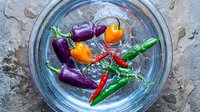 Fresh colorful chili peppers floating in clear water bowl on rustic stone surface. Vibrant purple orange green red hot peppers for cooking spice ingredient.
