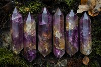 Raw amethyst crystal points with deep purple and golden inclusions arranged on mossy ground with autumn leaves, showcasing natural mineral formations and healing stones.