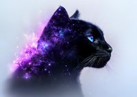 Mystical black cat profile with cosmic galaxy effect merging into fur, glowing purple nebula and stars creating ethereal silhouette against light background.