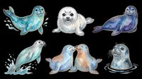 Cute watercolor seals and sea lions clipart set, isolated on transparent background, ready for stickers, t-shirt design, print on demand, and sublimation projects.