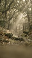 Mystical forest path with sunbeams filtering through ancient oak trees creating atmospheric lighting and peaceful woodland scenery for nature backgrounds.
