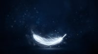 Glowing white feather floating against dark blue night sky with sparkling particles and magical light effects.
