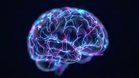 Digital brain with glowing neural networks and electric synapses on dark background for neuroscience, artificial intelligence and medical research concepts.
