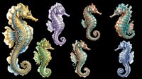Colorful ornate seahorses set, isolated on transparent background, ready for stickers, t-shirt design, print on demand, clipart, and sublimation projects.