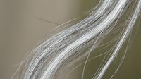 Close-up of flowing silver-gray hair strands with natural movement and texture, showcasing healthy hair care and beauty concepts for salon advertising.