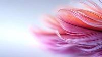 Soft pink and coral feathers create delicate layered texture against light blue background, with gentle blur effect adding dreamy atmospheric mood.