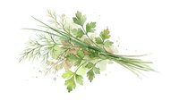 Fresh herbs bundle featuring dill, parsley and chives isolated on white background. Suitable for culinary, cooking, organic food and wellness design projects.