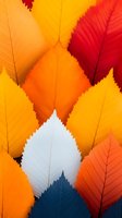 Vibrant autumn leaves arranged in geometric pattern showing yellow, orange, red, white and navy blue colors with detailed leaf texture and serrated edges.